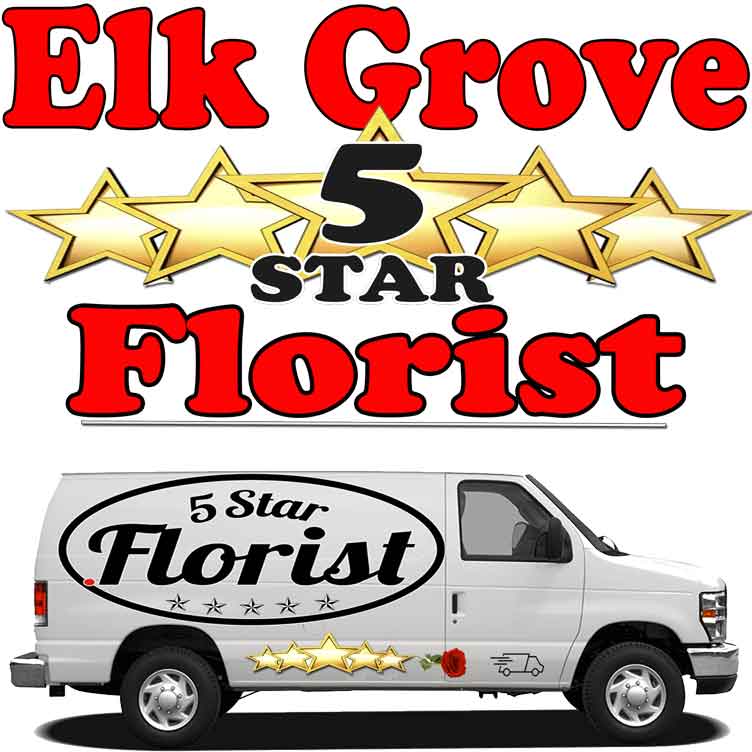 Elk Grove florist-flower