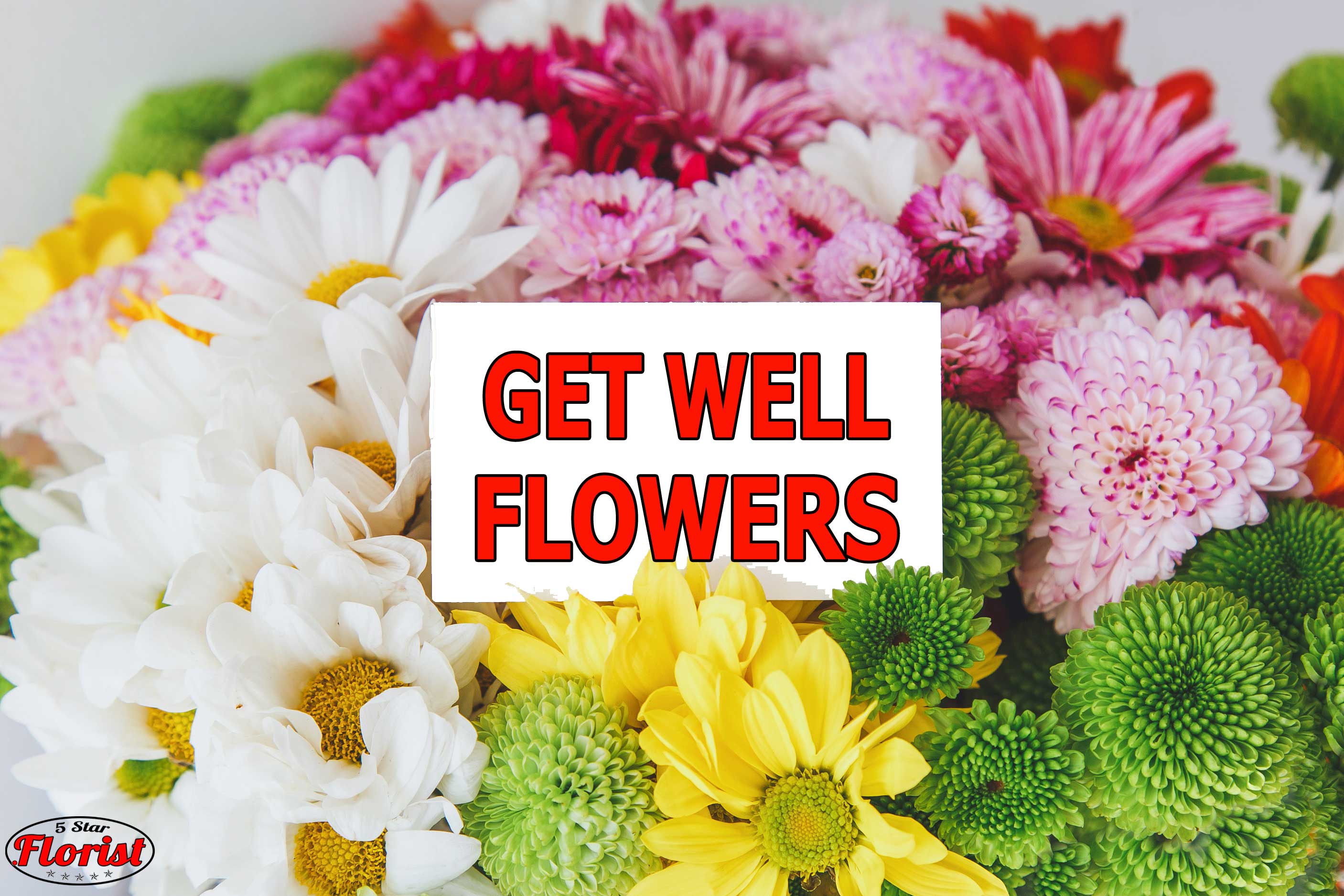 get-well-flowers Elk Grove