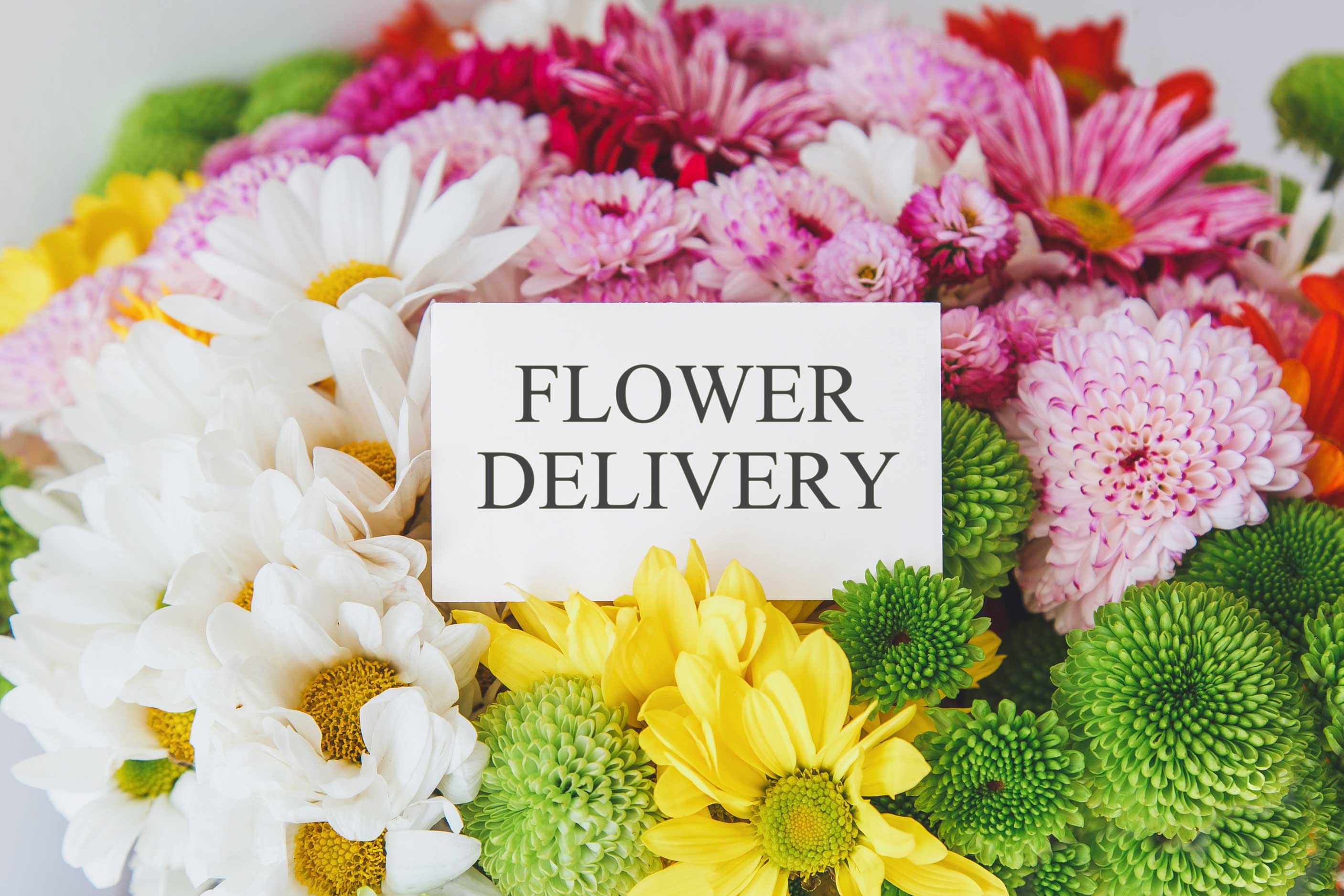 same-day-flower-delivery- Elk Grove