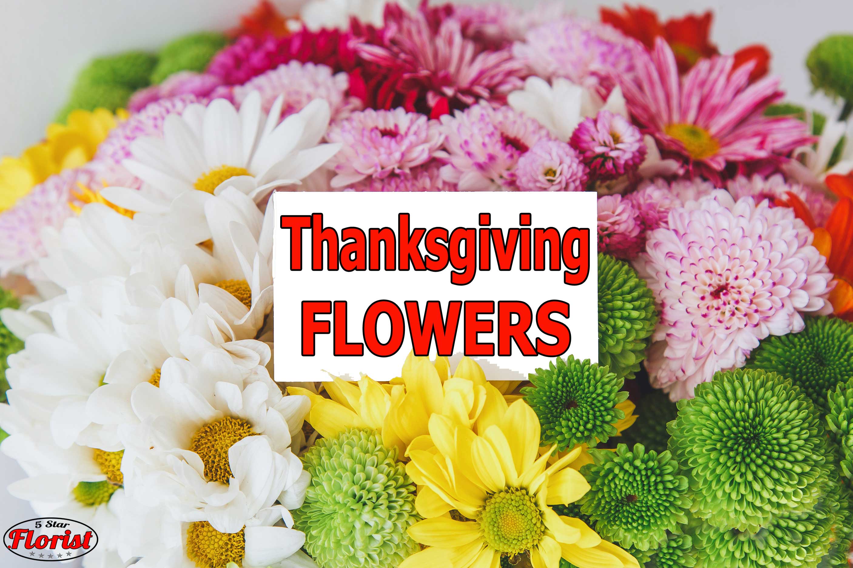 thanksgiving flowers Elk Grove